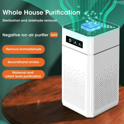 Air Purifier Whole House